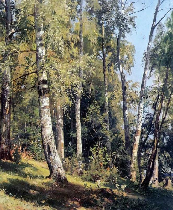 Ivan Shishkin Birch Grove oil painting image